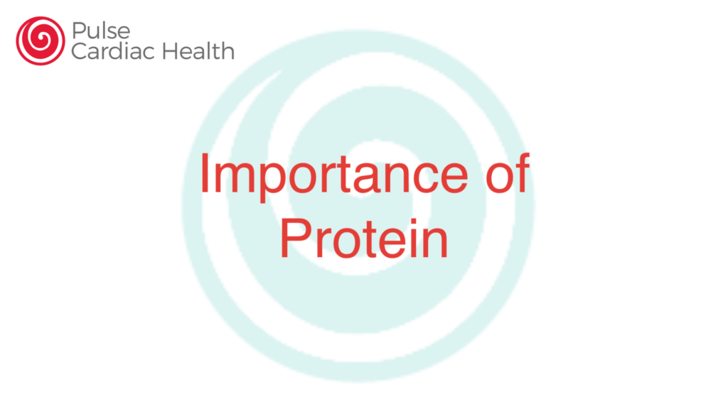 Importance of Protein