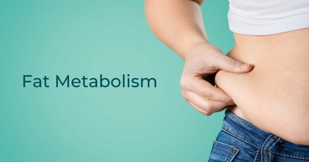 Fat metabolism